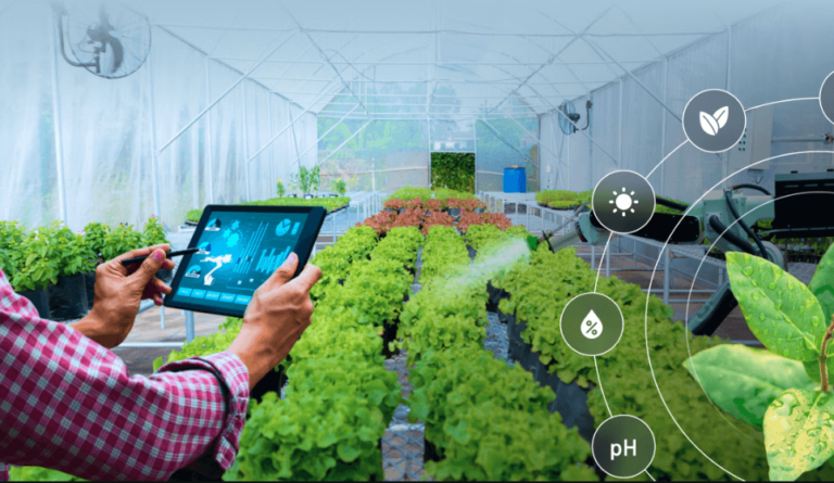 How Iot Is Revolutionizing Agriculture