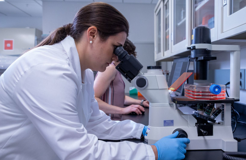 Choosing the Right Cell Culture Medium for Optimal Cell Growth