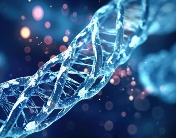 Precision in Every Base: The Advantages of Amplicon Sequencing